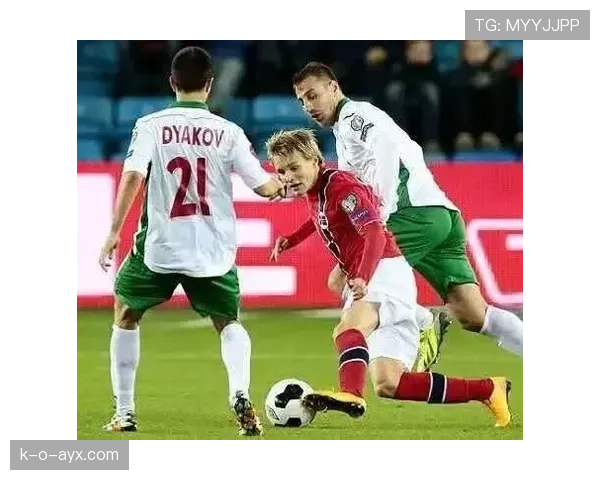 奥德加德欧洲杯数据解析